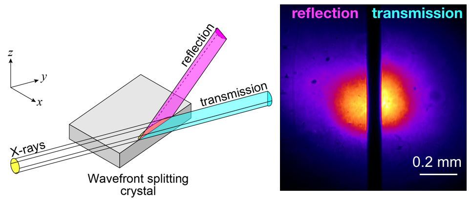 Conceptual illustration of the wavefront splitting (left) and example beam profiles measured at the exit of the SDO system