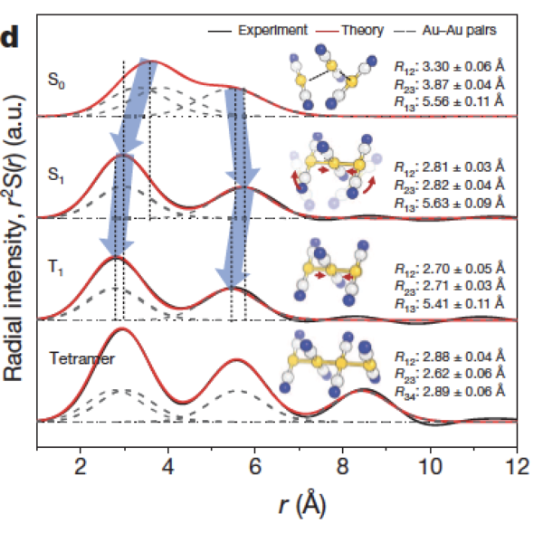 To track the formation process of 2 complex Au (CN) bonds