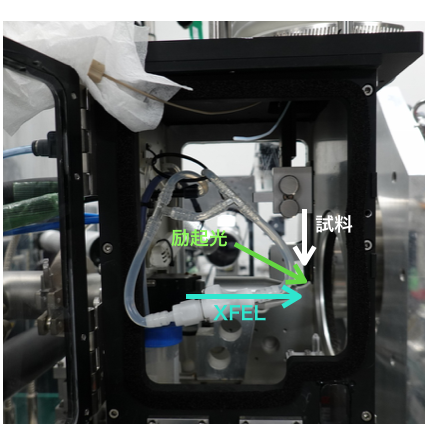 (a)光ファイバー＋対物レンズ集光による２方向励起（openタイプの例）の左側写真と(b)平凸レンズによる１方向励起（closedタイプの例）の右側写真