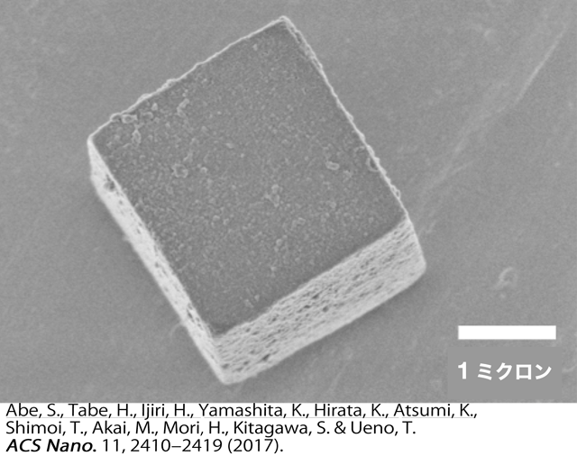 理研ターゲットタンパクビームラインBL32XUで高分解能解析に用いられた細胞内で合成された多角体結晶の写真
