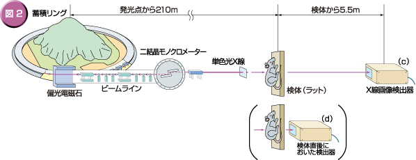 図2