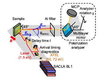 Co/Ptの時間分解共鳴磁気光学カー効果の観測