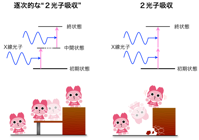 図１ 逐次的な2光子吸収と本実験の2光子吸収の図説