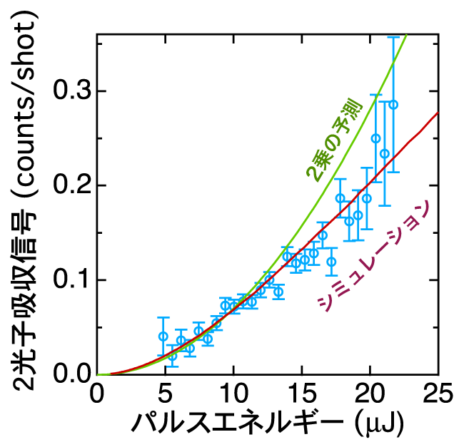 図2　2光子吸収のX線強度依存性の図