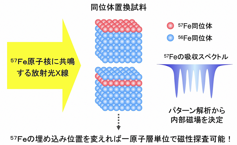 図３．メスバウアー分光法１）による同位体２）置換試料を用いた原子層分解磁気構造解析法の図。
