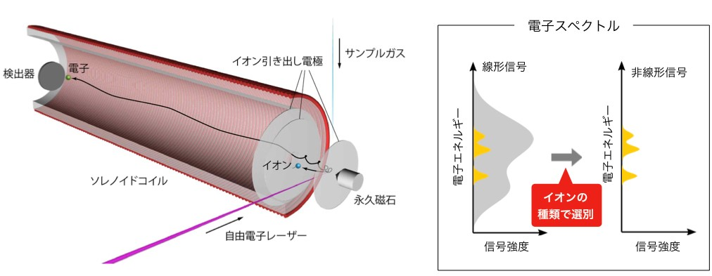 図１：磁気ボトル型電子-イオンコインシデンス分光装置の概念図