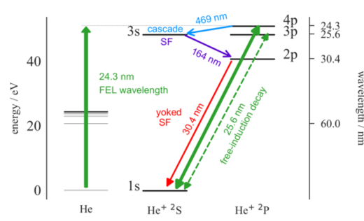 図3　強いFEL光がほぼ全てのHe原子をイオン化の図