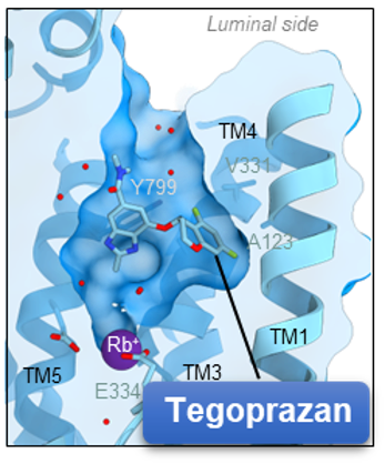 図4 テゴプラザンの結合構造図