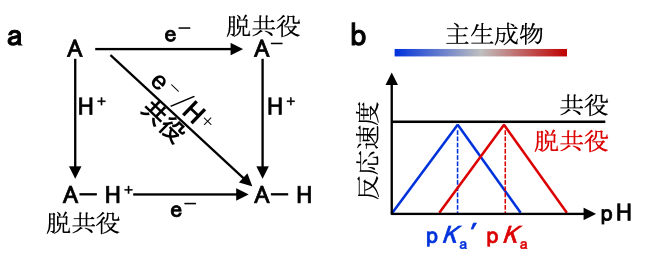 図1　脱共役プロトン電子移動による選択性制御の図説