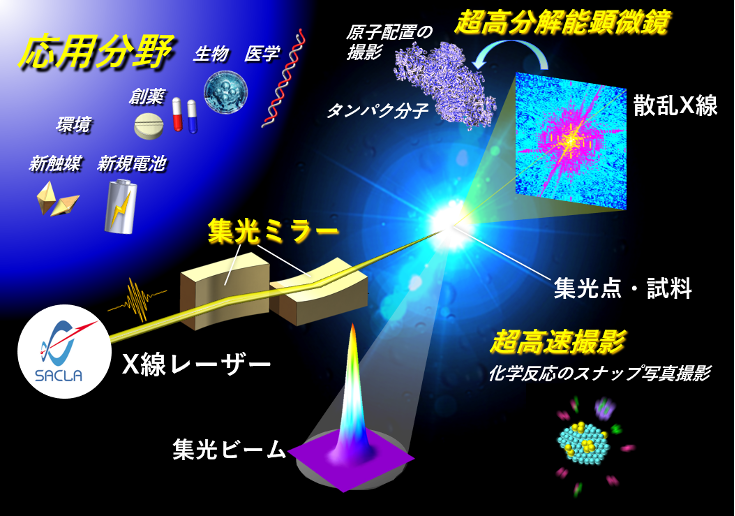 図1　超高強度集光ビームを用いたX線フラッシュ顕微鏡の概念図