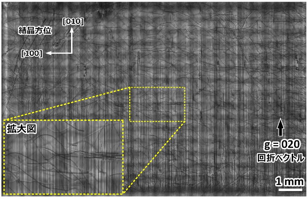 図1　10 mm×15 mmの(001)面β-Ga2O3単結晶基板の異常透過X線トポグラフィ画像。