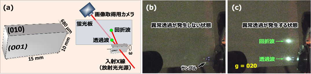 図4　(a)透過波と回折波の強度を蛍光板で観測し異常透過発生の有無を判定する実験の模式図。(b) 異常透過が発生しない状態の写真。(c) 透過波と回折波の極めて強い２つのスポットが観測された異常透過が発生する状態の写真