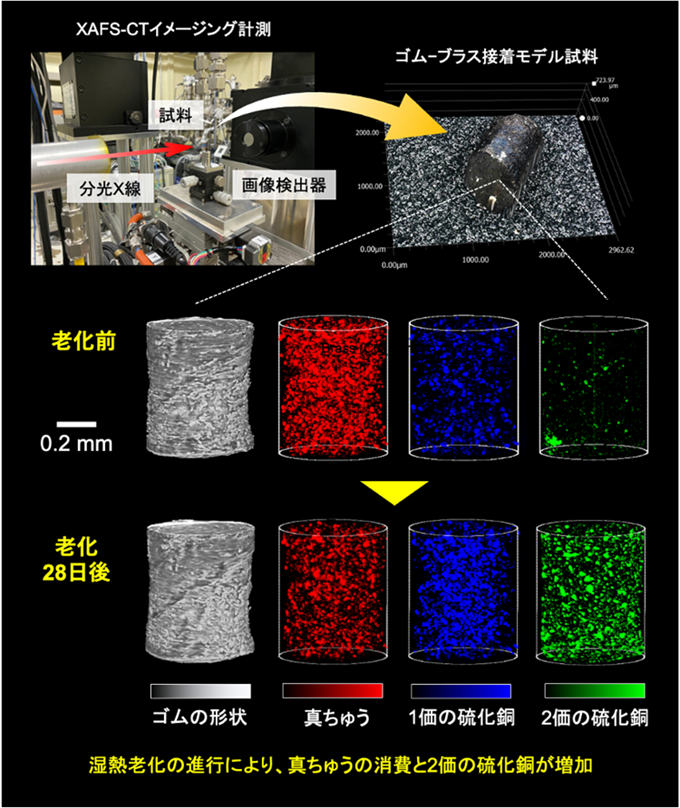 図1. ゴムに真ちゅう粒子を混ぜ込んだ接着モデル材料に対するXAFS-CTイメージング画像。