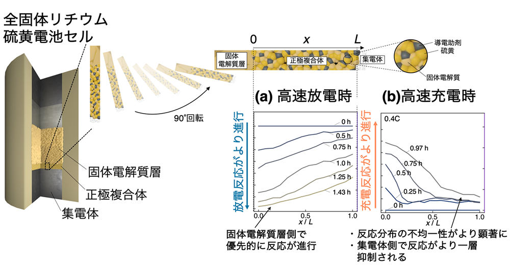 図2. SSLSB正極の厚み方向の充放電反応分布の可視化。